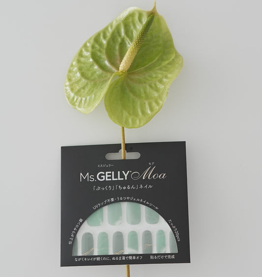 （69689）ミスティーセージ